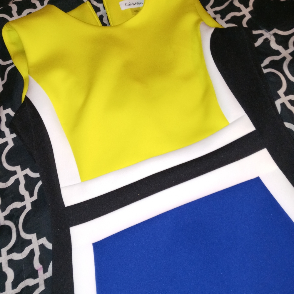 Calvin Klein Color Block Dress
